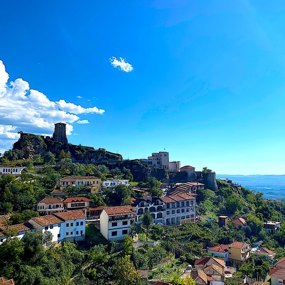 Meet your Posher, Ms Dee - Picture 1 of 1